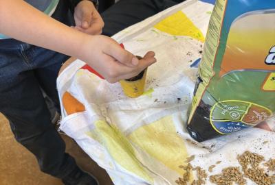 Sázíme osení a bylinky 03/26