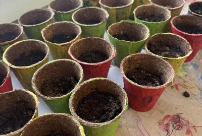 Sázíme Velikonoční osení 03/26