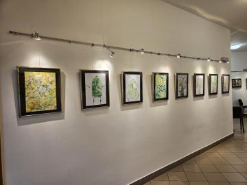 Naši žáci vystavují své práce!