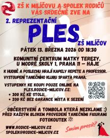 Reprezentační ples