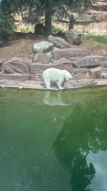 „Páťáci objevovali krásy Zoo Norimberk“